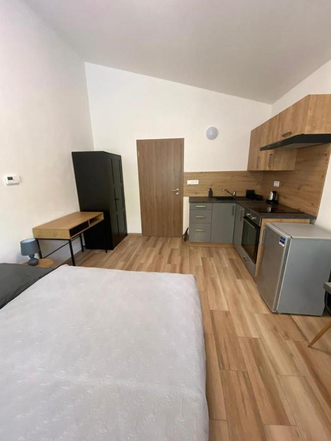 Cerna Ruze - Apartman 7 Плзень Екстер'єр фото