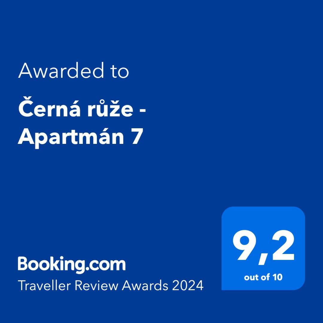 Cerna Ruze - Apartman 7 Плзень Екстер'єр фото